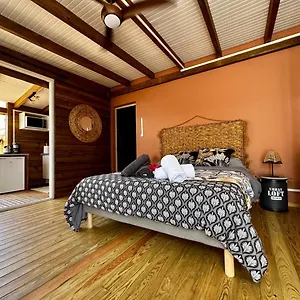  Appartement L'hibiscus